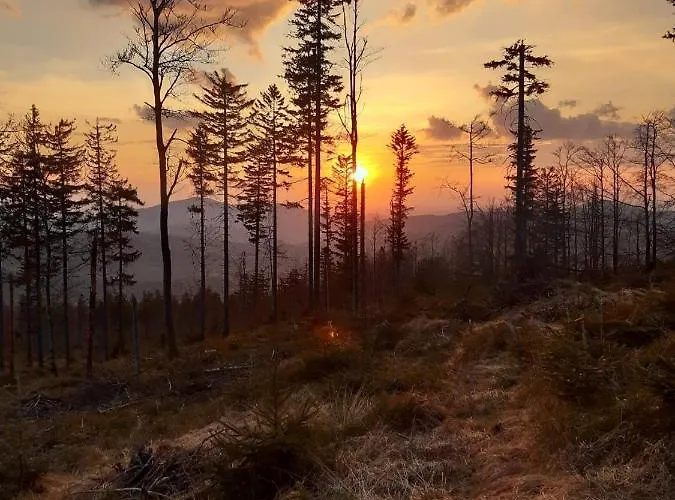 6 Osobowy, * ויסלאו